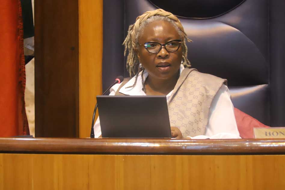 North West Provincial Legislature House Sitting