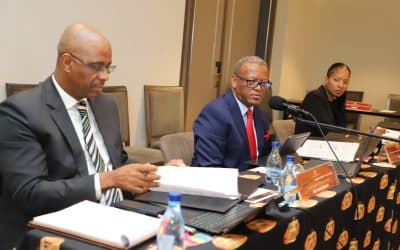 NORTH WEST LEGISLATURE AD HOC COMMITTEE ON ALLEGATIONS BY MAYOR OF NALEDI MUNICIPALITY – UPDATE ON PROCEEDINGS