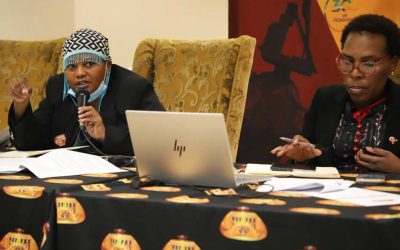 North West Legislature Public Accounts Committee Applauds Intervention Programmes of Department of Cooperative Governance, National and Provincial Treasuries in Municipalities