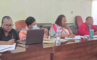 PORTFOLIO COMMITTEE ON HEALTH AND SOCIAL DEVELOPMENT CALLS FOR URGENT INTERVENTION ON STAFF SHORTAGES AND INFRASTRUCTURE CHALLENGES AT DITSOBOTLA SERVICE POINT
